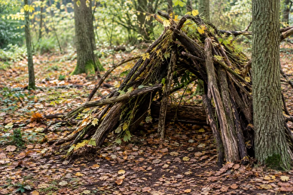 Fallen branches arranged as a small woodland shelter among trees and autumn leaves
