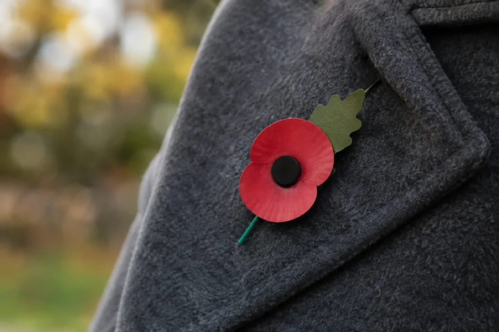 Close-up of a red paper poppy pinned to a plain wool coat in soft autumn light