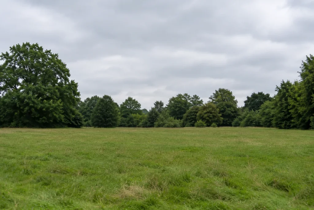 An open grassy field bordered by mature trees beneath an overcast sky