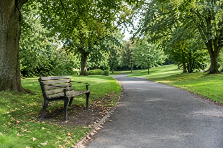 A public park path bordered by mature trees and grass with an empty bench beside it