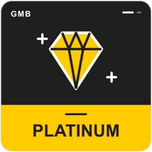 Platinum — Annual