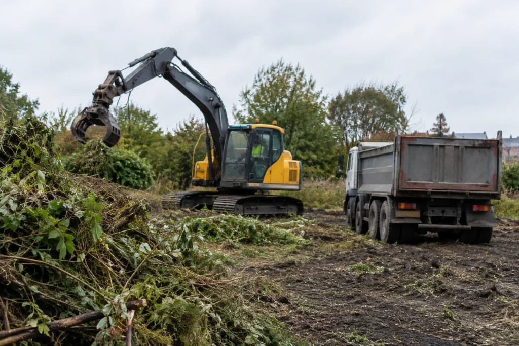 Excavator and tipper lorry beside piles of cut vegetation